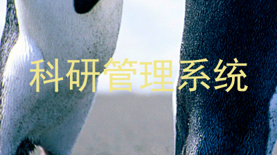 科研管理系统