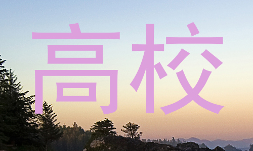 高校
