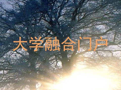 大学融合门户