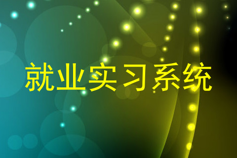 就业实习系统