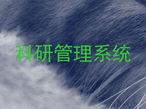 科研管理系统
