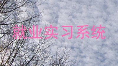 就业实习系统