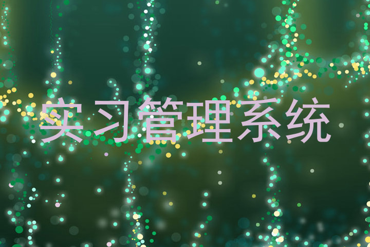实习管理系统