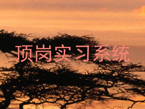 顶岗实习系统