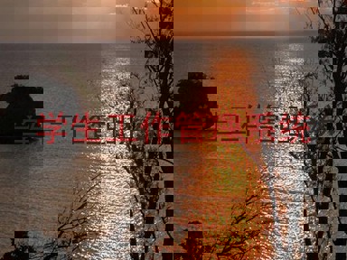 学生工作管理系统