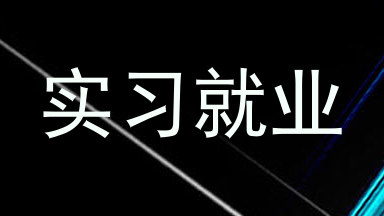 实习就业