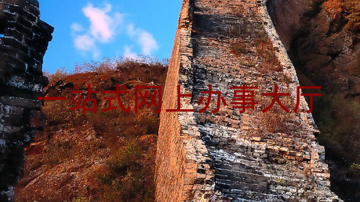 一站式网上办事大厅