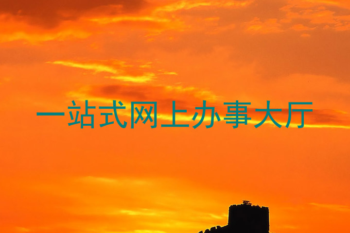 一站式网上办事大厅