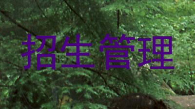 招生管理