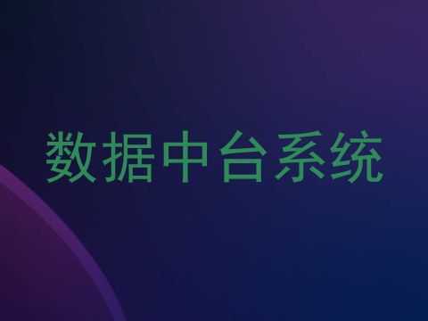 数据中台系统