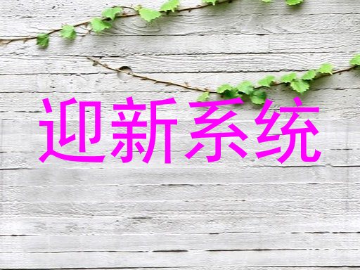迎新系统