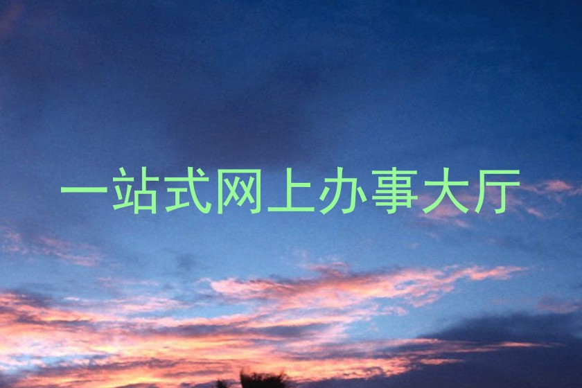 一站式网上办事大厅