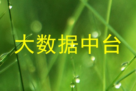 大数据中台