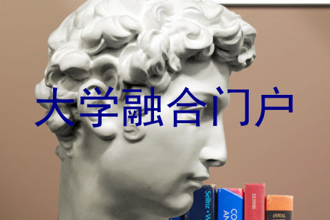 大学融合门户