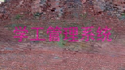 学工管理系统