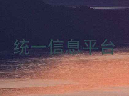 统一信息平台