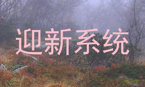 迎新系统