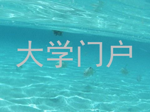大学门户