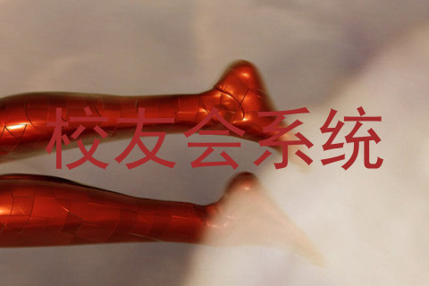 校友会系统