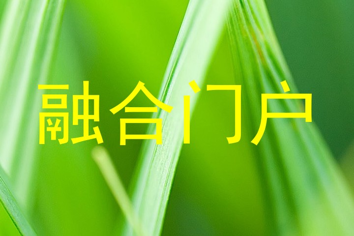 融合门户