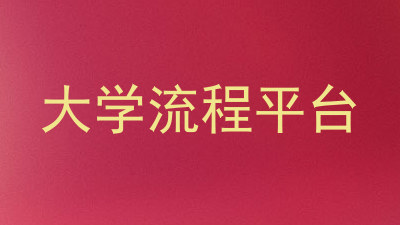 大学流程平台