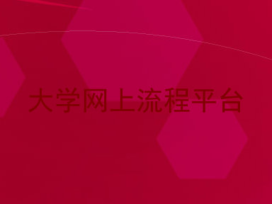 大学网上流程平台