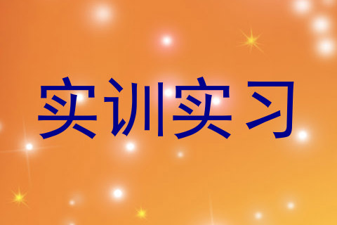 实训实习
