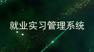 就业实习管理系统