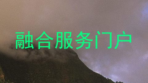 融合服务门户