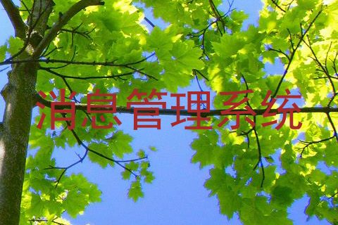 消息管理系统