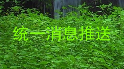 统一消息推送