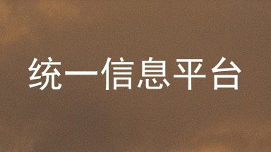 统一信息平台