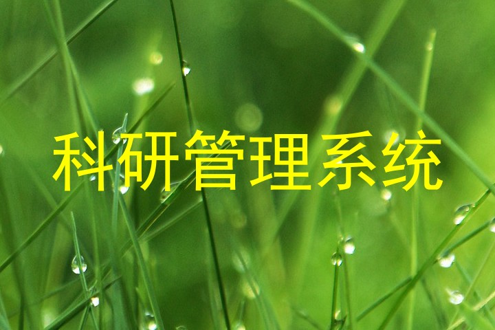 科研管理系统