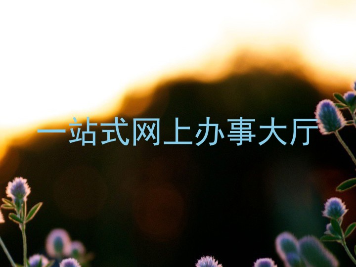 一站式网上办事大厅