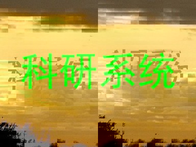 科研系统