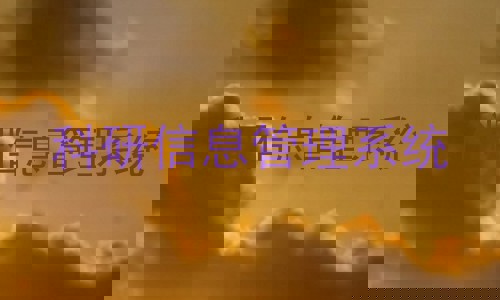 科研信息管理系统
