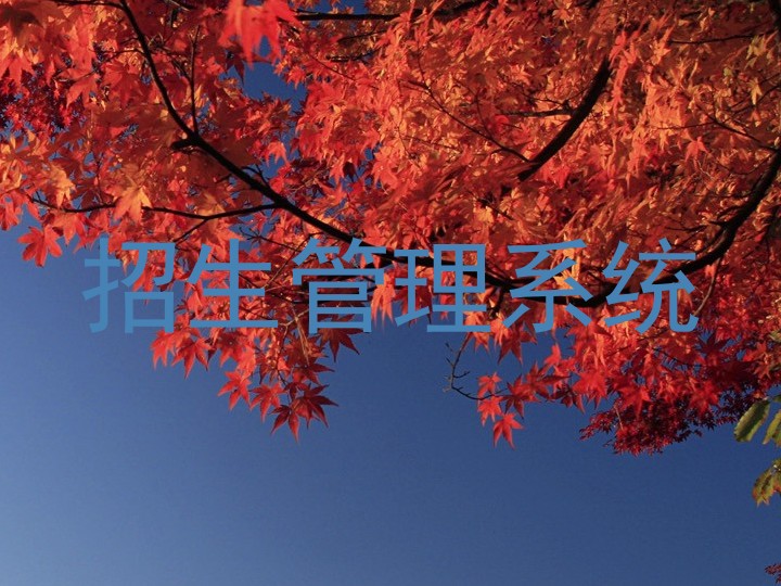 招生管理系统