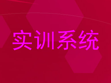 实训系统