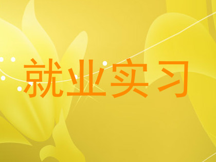 就业实习