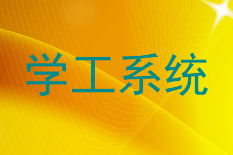 学工系统