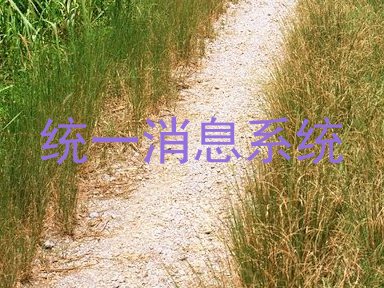 统一消息系统