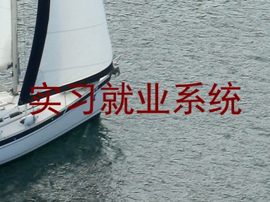 实习就业系统