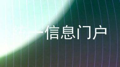 统一信息门户