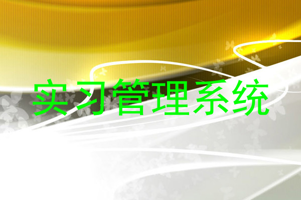实习管理系统