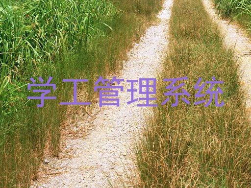 学工管理系统