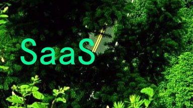 SaaS