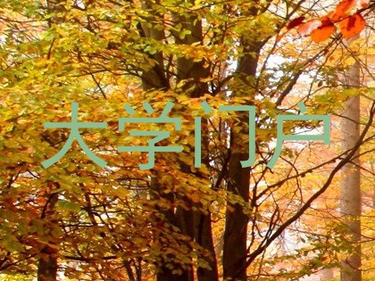 大学门户