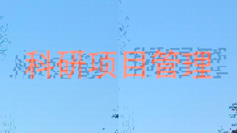 科研项目管理