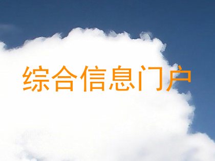 综合信息门户