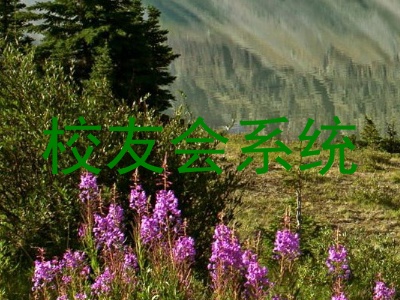 校友会系统